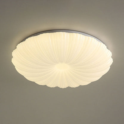 Modern Minimalist Shell Acrylic LED Flush Mount Ceiling Light