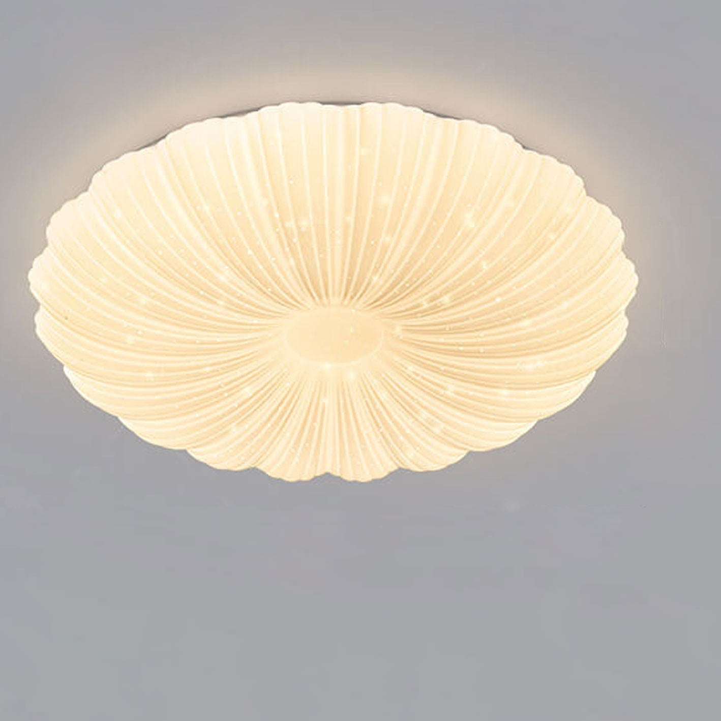 Modern Minimalist Shell Acrylic Round LED Flush Mount Ceiling Light