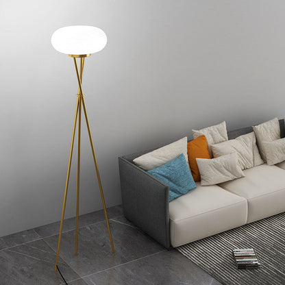 Modern Minimalist Round Tripod Iron Acrylic LED Standing Floor Lamp For Living Room