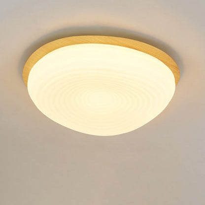 Modern Minimalist Oval Iron PE Rotomolded LED Flush Mount Ceiling Light For Bedroom