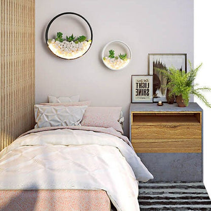 Modern Creative Round Plant 1-Light LED Wall Sconce Lamp