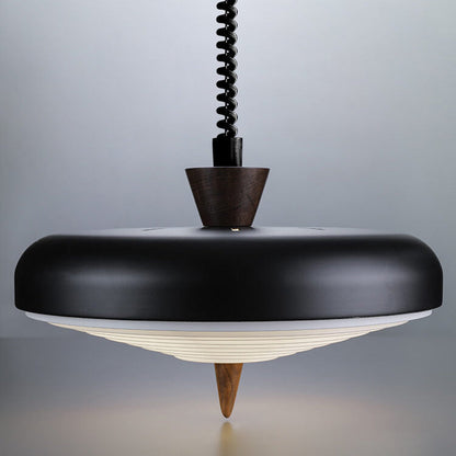 Industrial Iron Several Japanese Style Walnut Retractable 1-Light Pendant Light