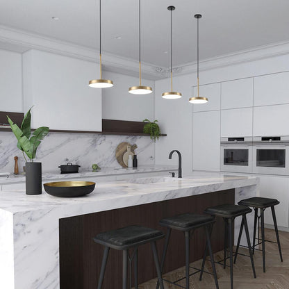 Modern Minimalist  Drum Metal LED Pendant Light