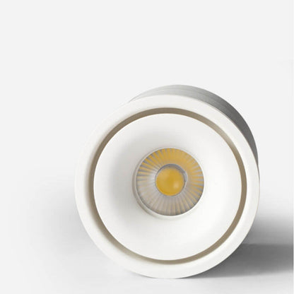 Industrial Aluminum Foldable Cylindrical LED Spotlight Flush Mount Light