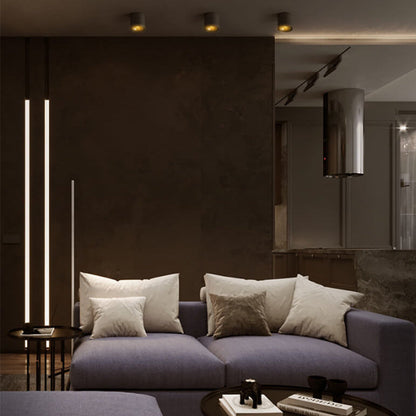 Industrial Aluminum Foldable Cylindrical LED Spotlight Flush Mount Light