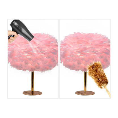Nordic Goose Feather Round Iron Base 1-Light Table Lamp