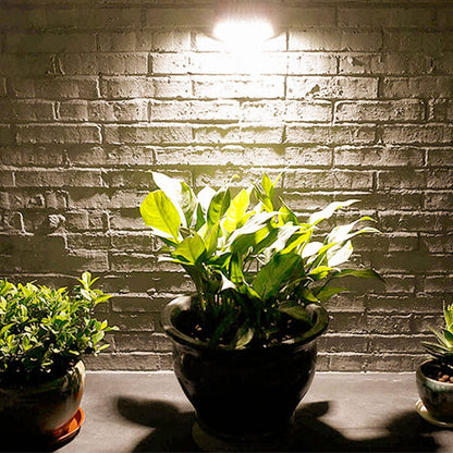 Solar Trapezoid Induction Outdoor Waterproof Patio LED Wall Sconce Lamp