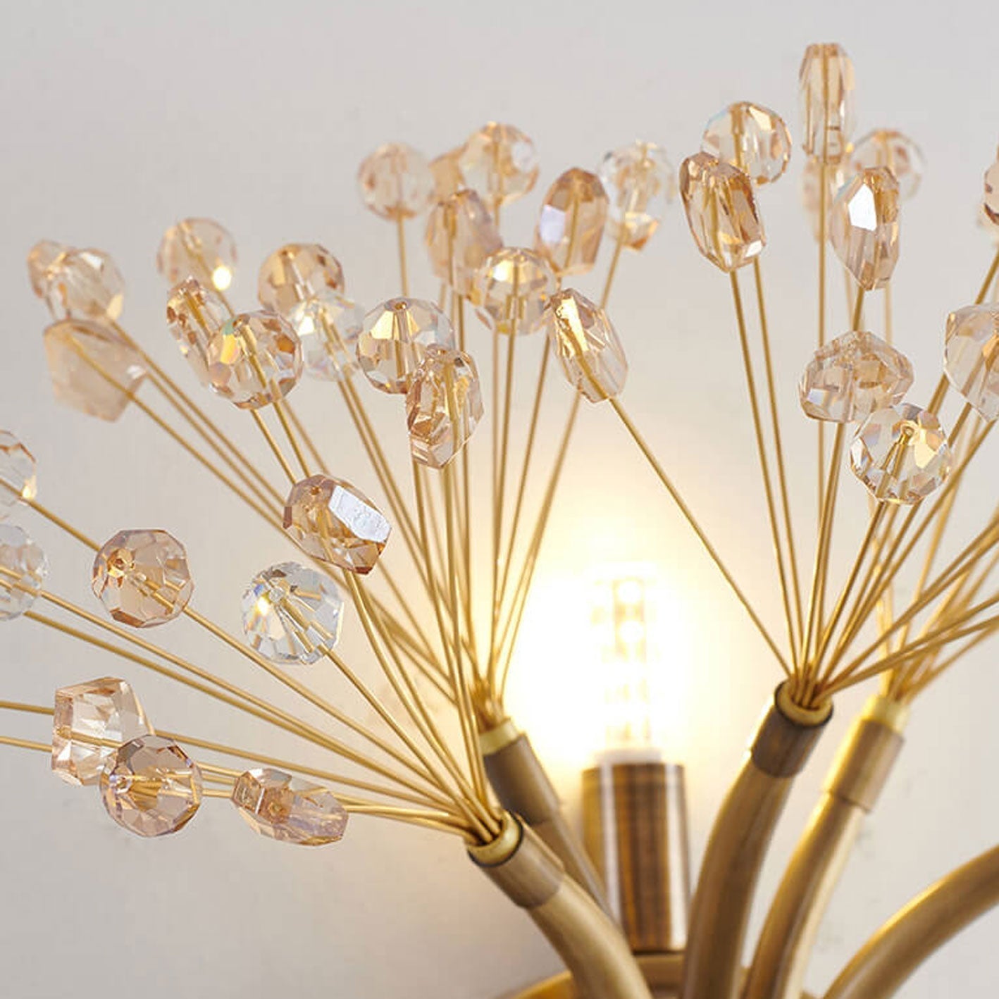 Modern Luxury Glass Dandelion Flower Design Brass 1-Light Wall Sconce Lamp