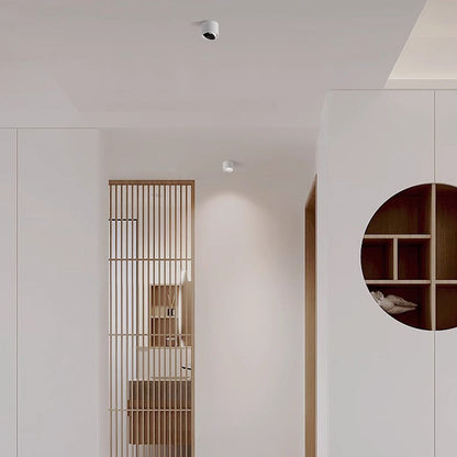 Modern Minimalist Round Cylindrical Aluminum Acrylic LED Flush Mount Ceiling Light For Bedroom