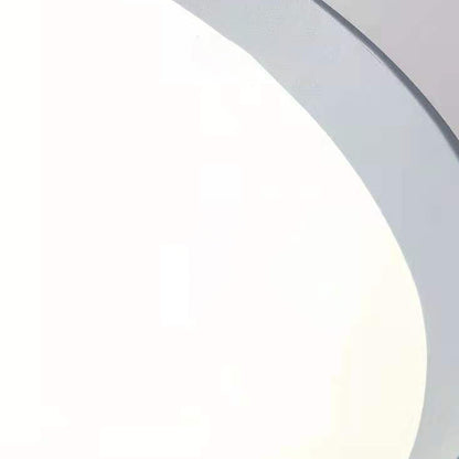 Contemporary Simplicity Round Acrylic Iron LED Flush Mount Ceiling Light For Living Room