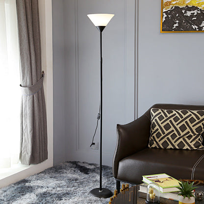 Contemporary Nordic Iron Acrylic Lampshade 1/2 - Light Standing Floor Lamp For Living Room