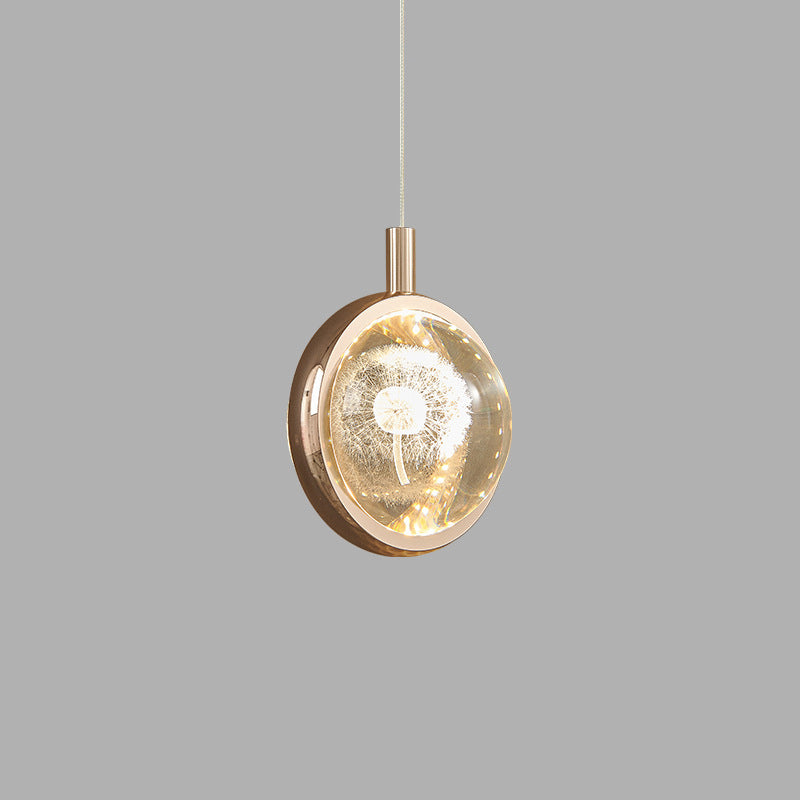 Contemporary Creative Dome Round Earth Dolphin Dandelion Bubbles Deer Aluminum Crystal LED Pendant Light For Living Room
