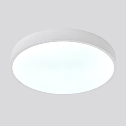 Modern Simplicity Round Acrylic Iron LED Flush Mount Ceiling Light For Living Room