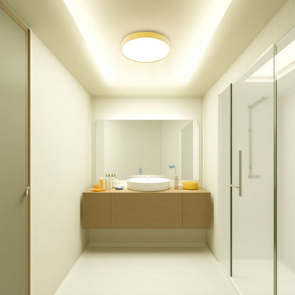 Modern Simplicity Round Acrylic Iron LED Flush Mount Ceiling Light For Living Room