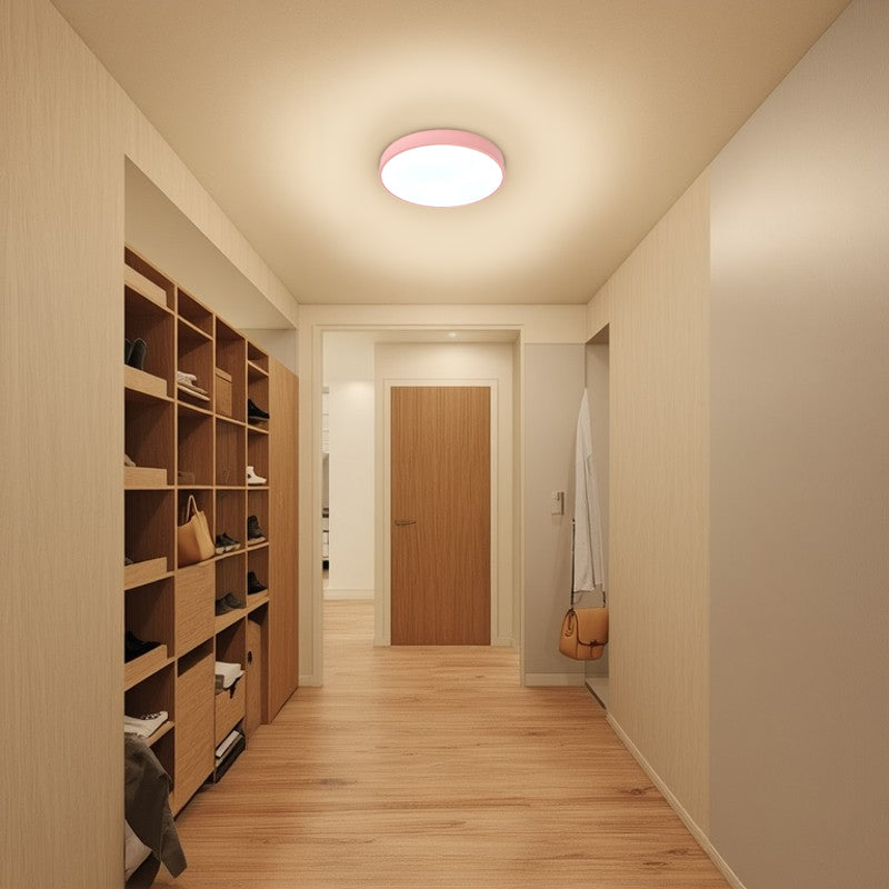 Modern Simplicity Round Acrylic Iron LED Flush Mount Ceiling Light For Living Room