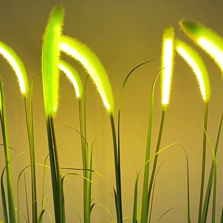 Modern Art Deco Plastic & Stainless Steel Foxtail Reed Solar LED Outdoor Light For Garden, Patio & Lawn