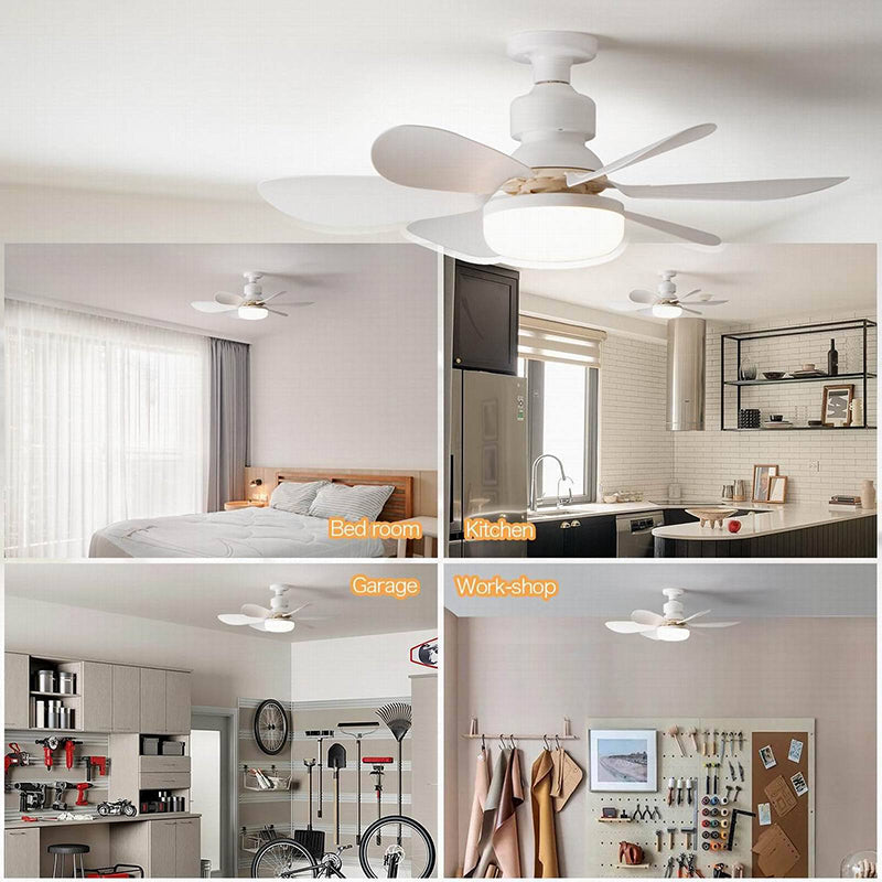Modern Minimalist PP PC ABS Semi-Round 1-Light Semi-Flush Mount Ceiling Fan Light For Bedroom & Living Room