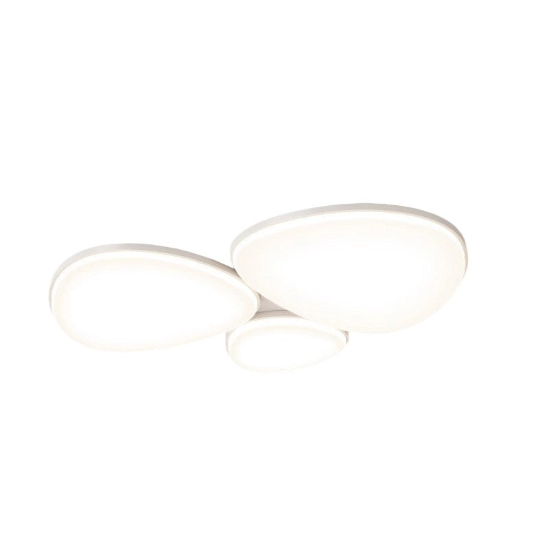 Modern Minimalist Acrylic Iron Semi-Round Floral Geometric LED Flush Mount Ceiling Light For Bedroom & Living Room