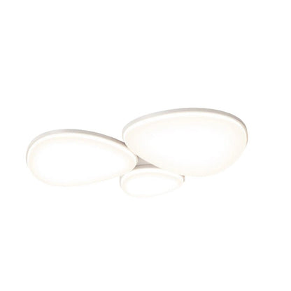 Modern Minimalist Acrylic Iron Semi-Round Floral Geometric LED Flush Mount Ceiling Light For Bedroom & Living Room