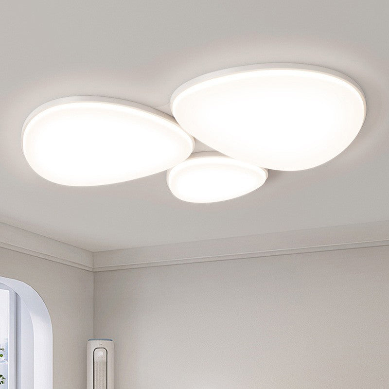 Modern Minimalist Acrylic Iron Semi-Round Floral Geometric LED Flush Mount Ceiling Light For Bedroom & Living Room