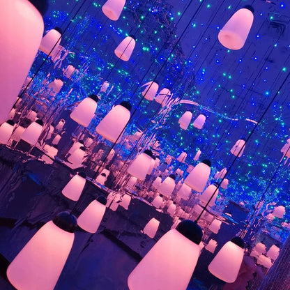 Modern Minimalist Waterproof PE & PP Bottle-Shaped LED Outdoor Pendant Light For Outdoor Patio & Garden