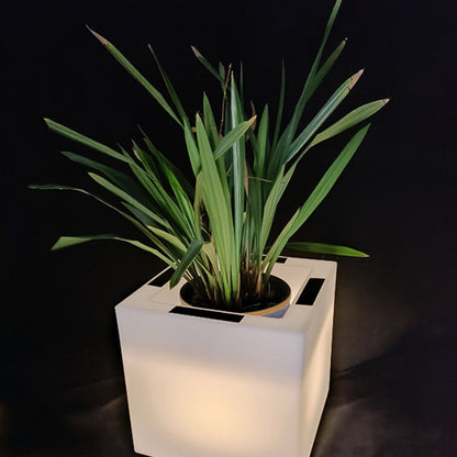 Modern Art Deco Solar Waterproof PE Square Planter LED Outdoor Light Landscape Lighting For Garden & Outdoor Patio