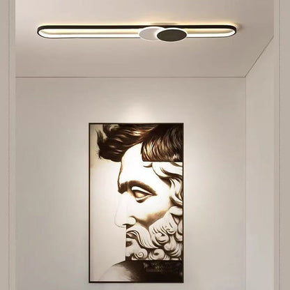 Modern Minimalist Aluminum Iron Acrylic Oval Strip LED Flush Mount Ceiling Light For Hallway