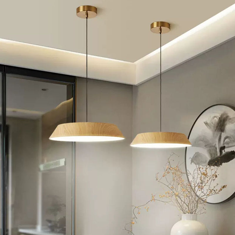 Traditional Rustic Flying Saucer-shaped Iron Acrylic LED Pendant Light For Dining Room