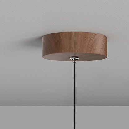 Modern Minimalist Round Cylindrical Iron Acrylic LED Pendant Light For Living Room