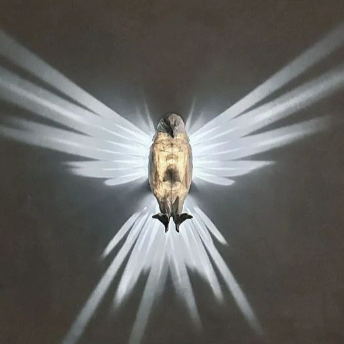Contemporary Creative 3D Printed Eagle Owl Plastic LED Wall Sconce Lamp For Living Room