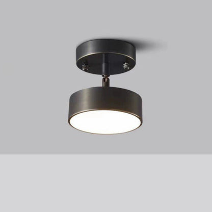 Modern Luxury Adjustable Angle Round Copper Acrylic LED Semi-Flush Mount Ceiling Light For Living Room