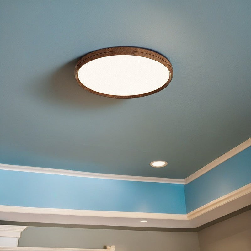 Contemporary Nordic Round Aluminum Acrylic LED Flush Mount Ceiling Light For Living Room