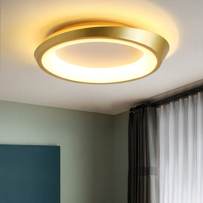 モダンでシンプルな不規則な丸型アイアン金具アクリル製LEDセミフラッシュマウント天井照明（寝室用）