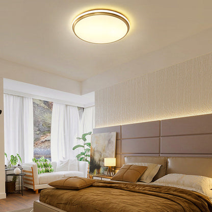 Modern Minimalist Round Brass Acrylic LED Flush Mount Ceiling Light For Living Room