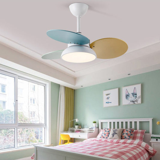 Contemporary Scandinavian Acrylic Shade Solid Wood Oval Fan Blade LED Downrod Ceiling Fan Light For Living Room