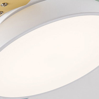 Contemporary Scandinavian Acrylic Shade Solid Wood Oval Fan Blade LED Downrod Ceiling Fan Light For Living Room