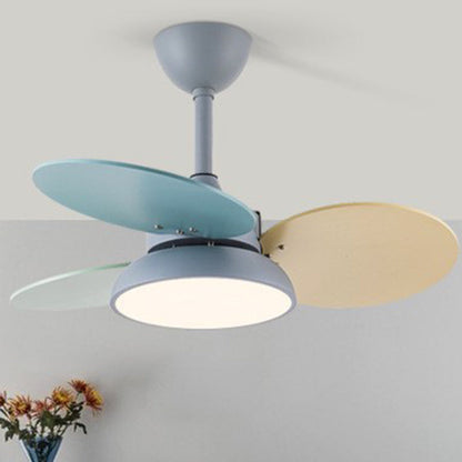 Contemporary Scandinavian Acrylic Shade Solid Wood Oval Fan Blade LED Downrod Ceiling Fan Light For Living Room