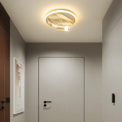 Modern Luxury Iron Acrylic LED Spotlight Flush Mount Ceiling Light For Living Room