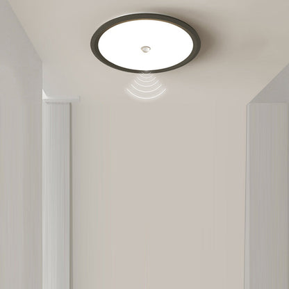 Modern Minimalist Iron Aluminum Geometric Ellipse Acrylic Shade LED Flush Mount Ceiling Light For Living Room