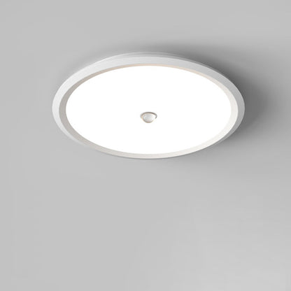 Modern Minimalist Iron Aluminum Geometric Ellipse Acrylic Shade LED Flush Mount Ceiling Light For Living Room