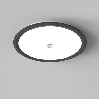 Modern Minimalist Iron Aluminum Geometric Ellipse Acrylic Shade LED Flush Mount Ceiling Light For Living Room
