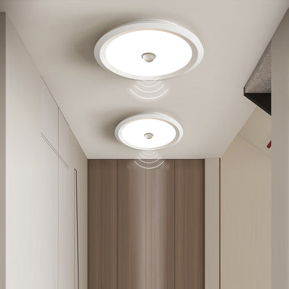 Modern Minimalist Iron Aluminum Geometric Ellipse Acrylic Shade LED Flush Mount Ceiling Light For Living Room