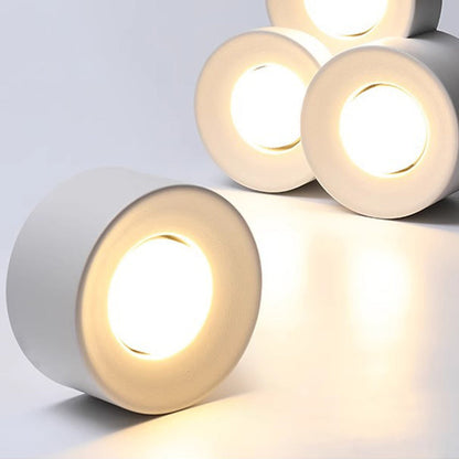 Modern Minimalist Round Cylinder Downlight Spotlight Iron Acrylic LED Flush Mount Ceiling Light For Bedroom