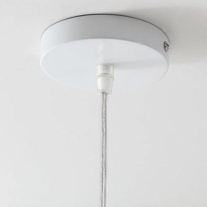Contemporary Creative Bird Round Cylinder Resin Glass 1-Light Pendant Light For Dining Room