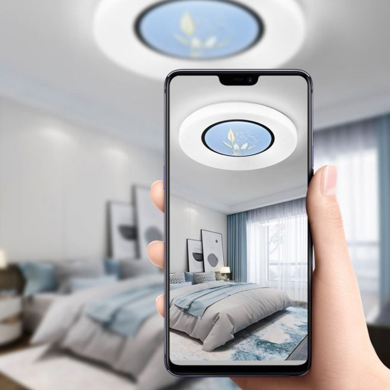 Modern Minimalist Flower Round Iron Acrylic LED Flush Mount Ceiling Light For Bedroom