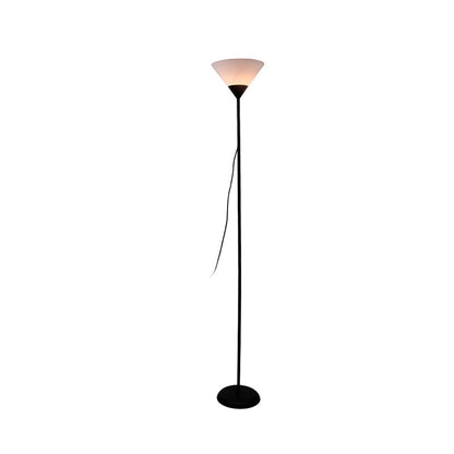Modern Minimalist Fan Shape Iron Acrylic 1/2-Light Standing Floor Lamp For Study