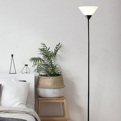 Modern Minimalist Fan Shape Iron Acrylic 1/2-Light Standing Floor Lamp For Study