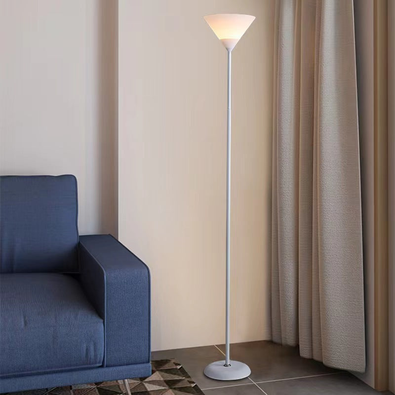 Modern Minimalist Fan Shape Iron Acrylic 1/2-Light Standing Floor Lamp For Study