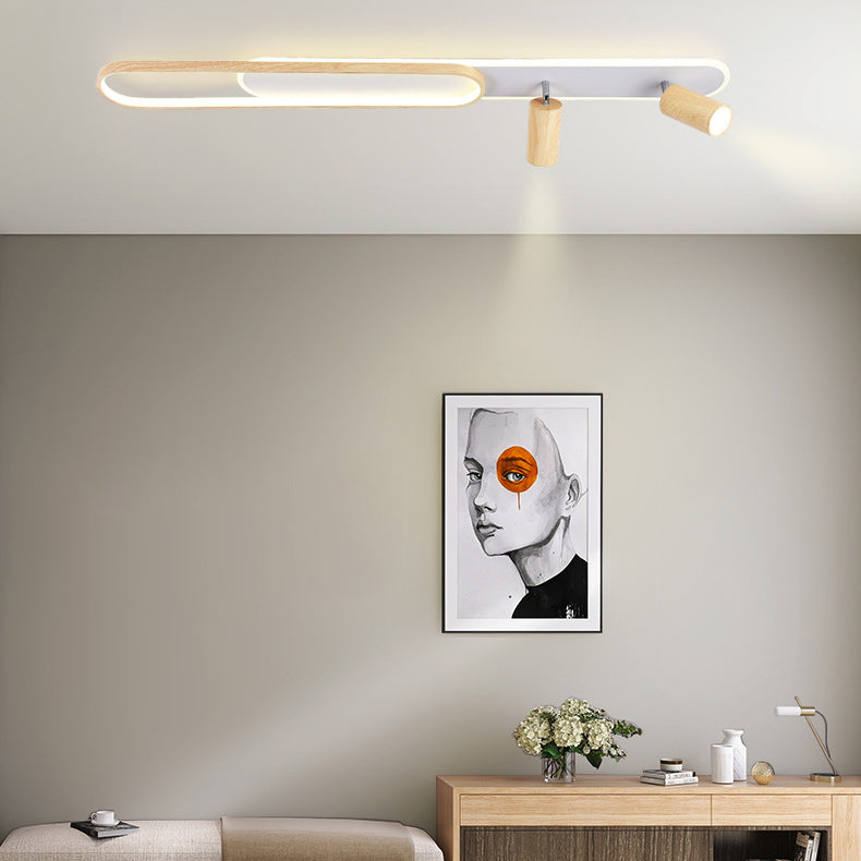 Modern Minimalist Long Oval Cylinder Acrylic Iron LED Flush Mount Ceiling Light For Living Room