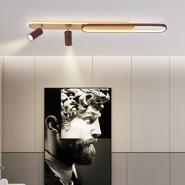 Modern Minimalist Long Oval Cylinder Acrylic Iron LED Flush Mount Ceiling Light For Living Room